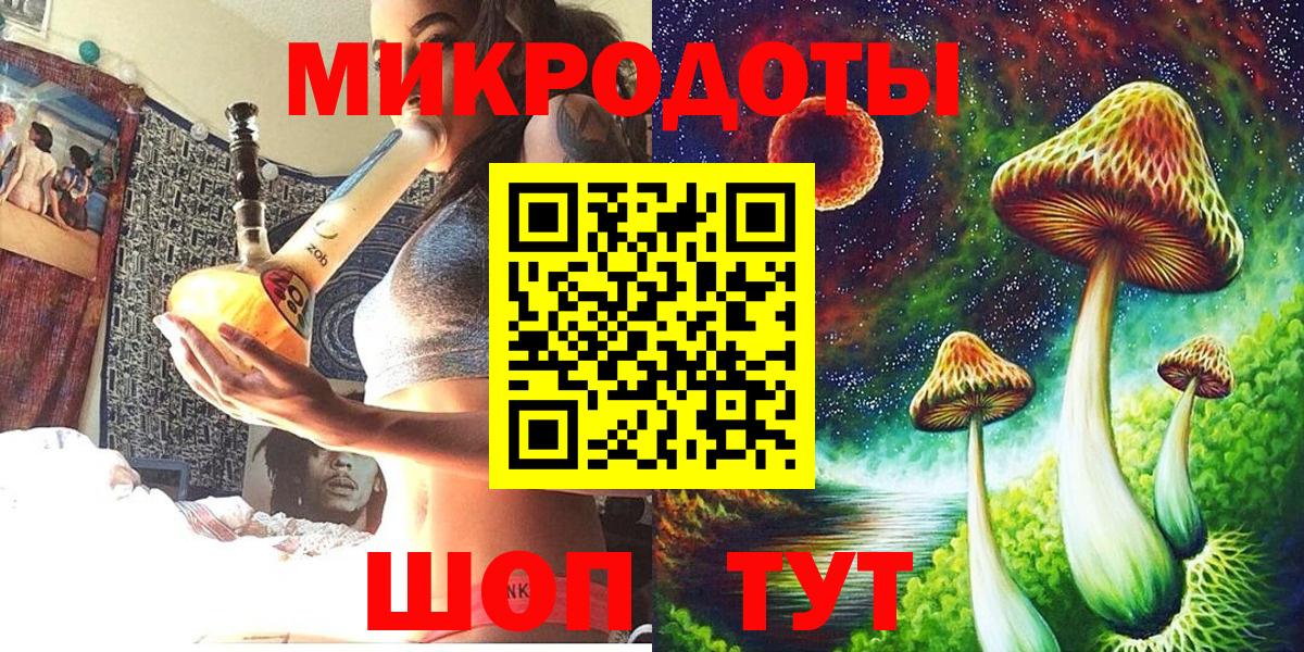 Псилоцибиновые грибы Psilocybine cubensis Жигулёвск